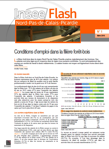 Enquête INSEE Flash 2015