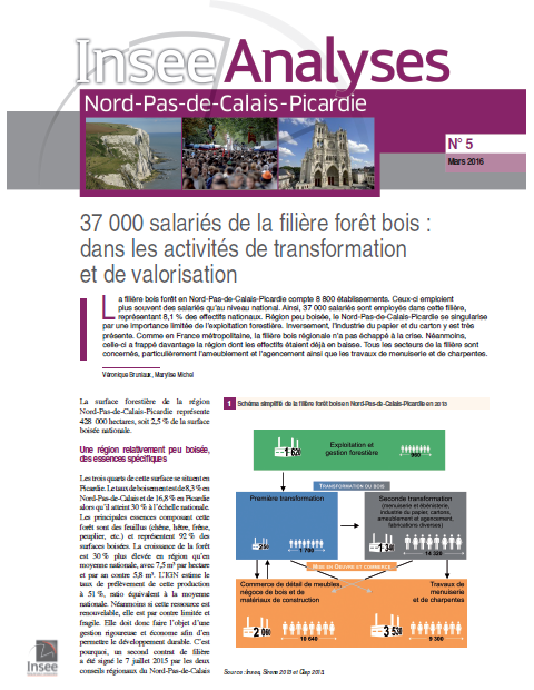 Enquête INSEE Analyses 2015