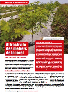 Attractivité des métiers de la forêt