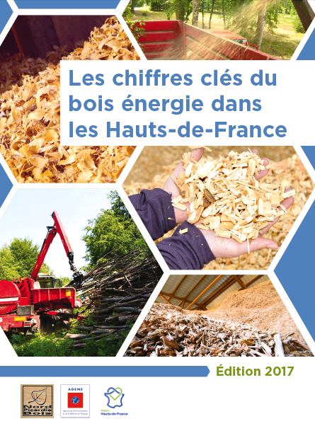 Chiffres clés du bois énergie dans les Hauts-de-France, édition 2017