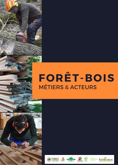 Forêt-Bois : métiers & acteurs