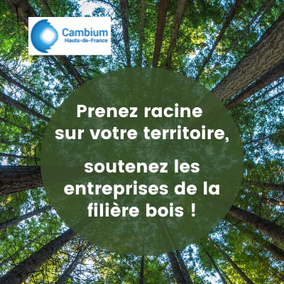 Appels aux dons : soutenez les entreprises de la filière bois