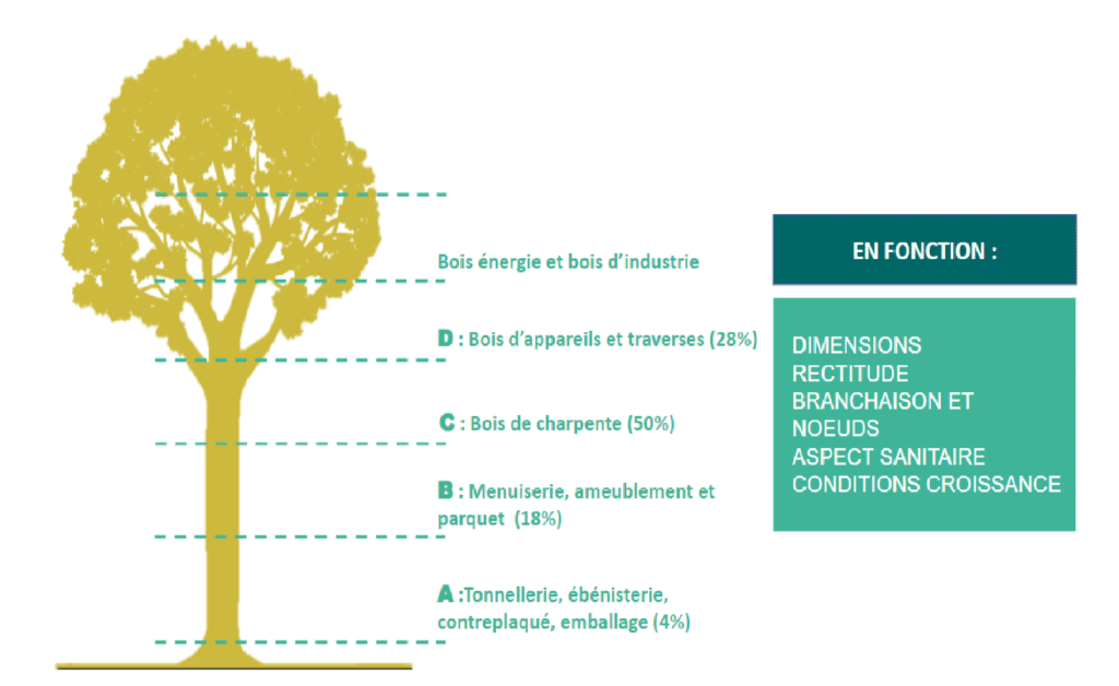 Bois bûche ONF Energie Bois - ONF Energie Bois