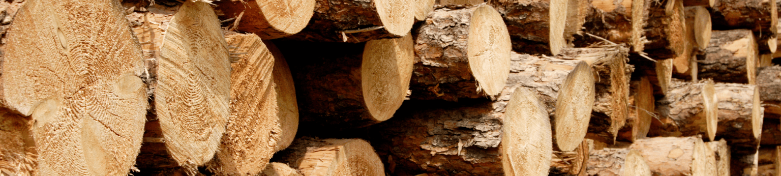 ÉVÉNEMENTS DE LA FILIÈRE FORÊT BOIS