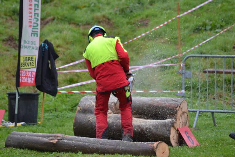 Rendez-vous Forêt Bois 2021