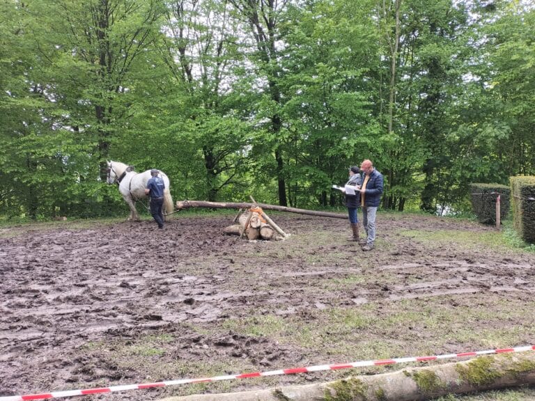 Rendez-vous Forêt Bois 2023