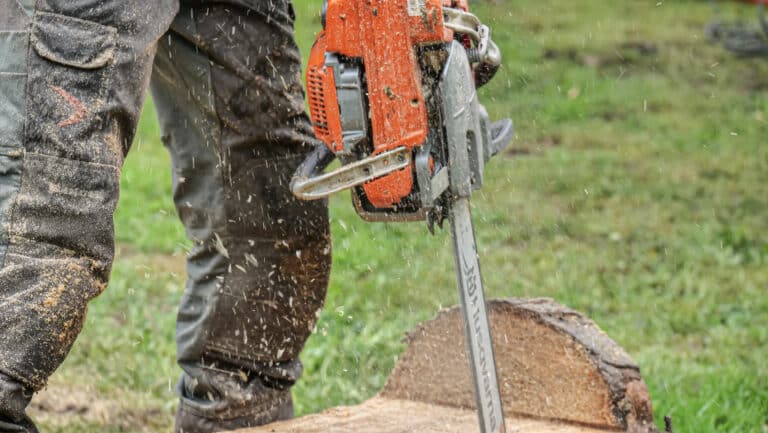 Rendez-vous Forêt Bois 2023