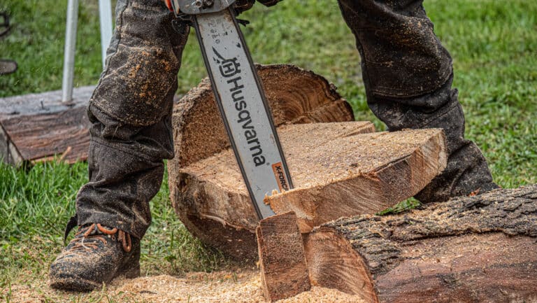 Rendez-vous Forêt Bois 2023