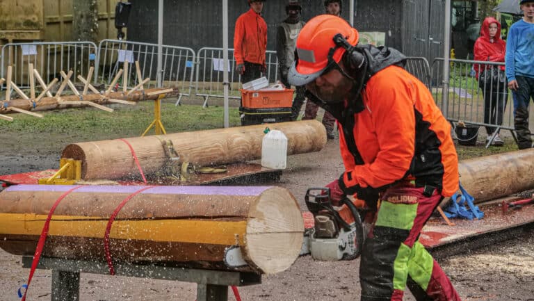 Rendez-vous Forêt Bois 2023