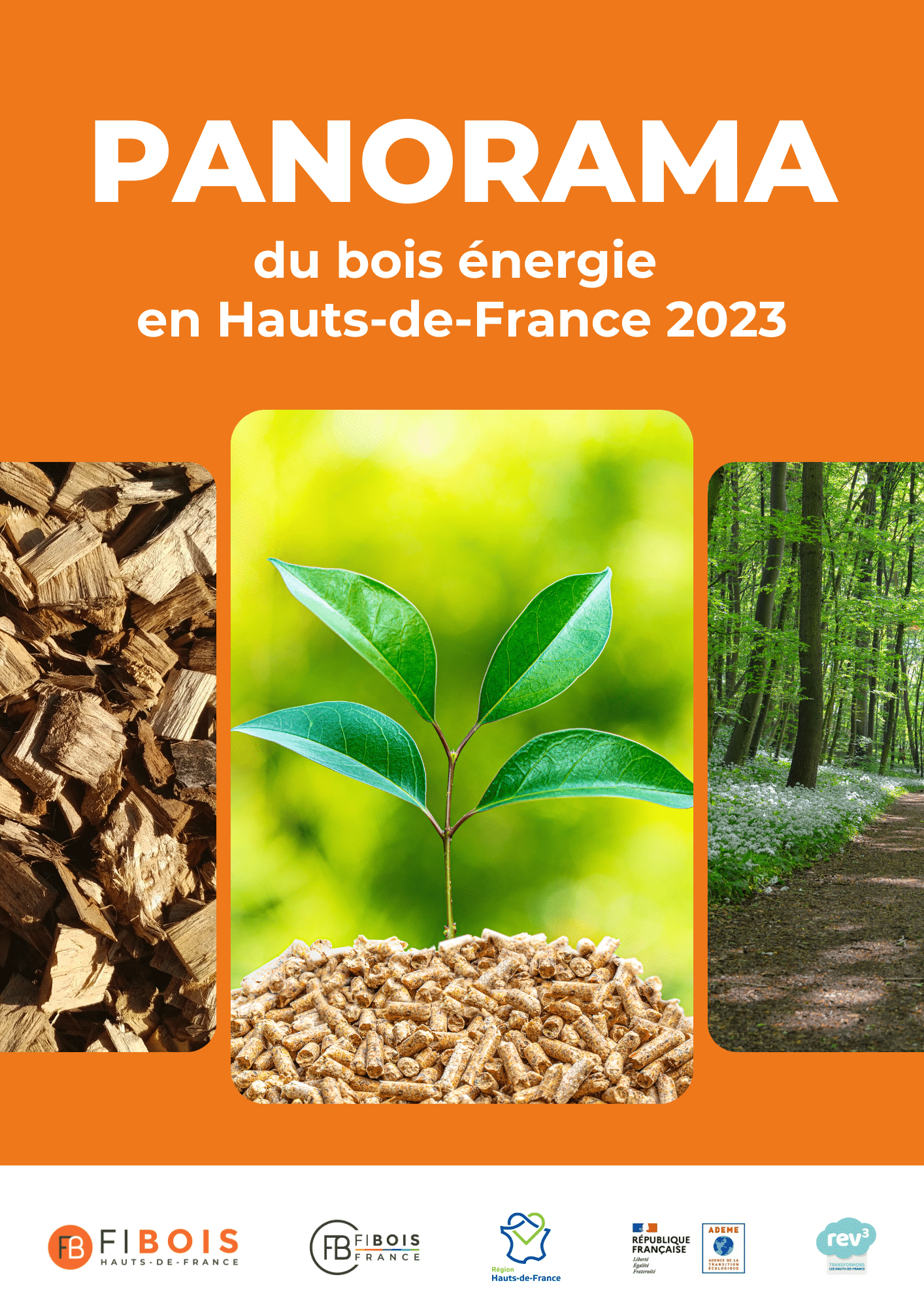 PANORAMA du bois énergie en Hauts-de-France 2023