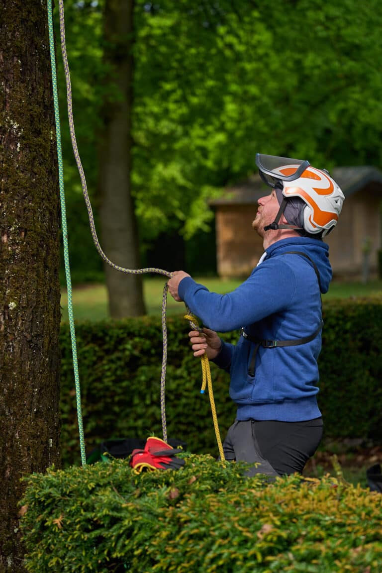 Rendez-vous Forêt Bois 2023