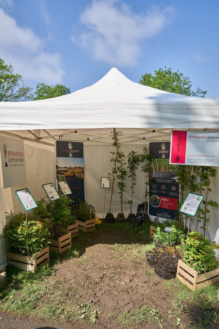 Rendez-vous Forêt Bois 2023