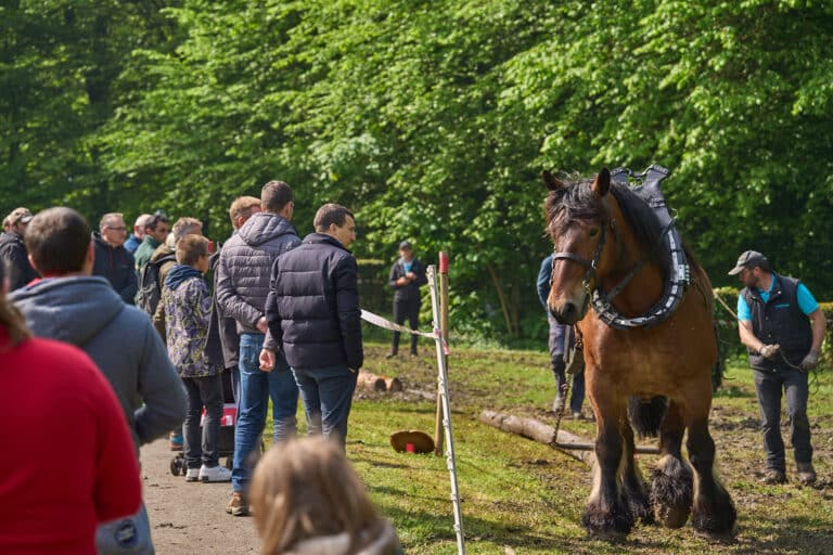 Rendez-vous Forêt Bois 2023