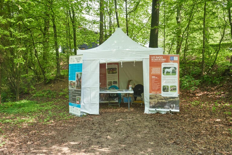 Rendez-vous Forêt Bois 2023