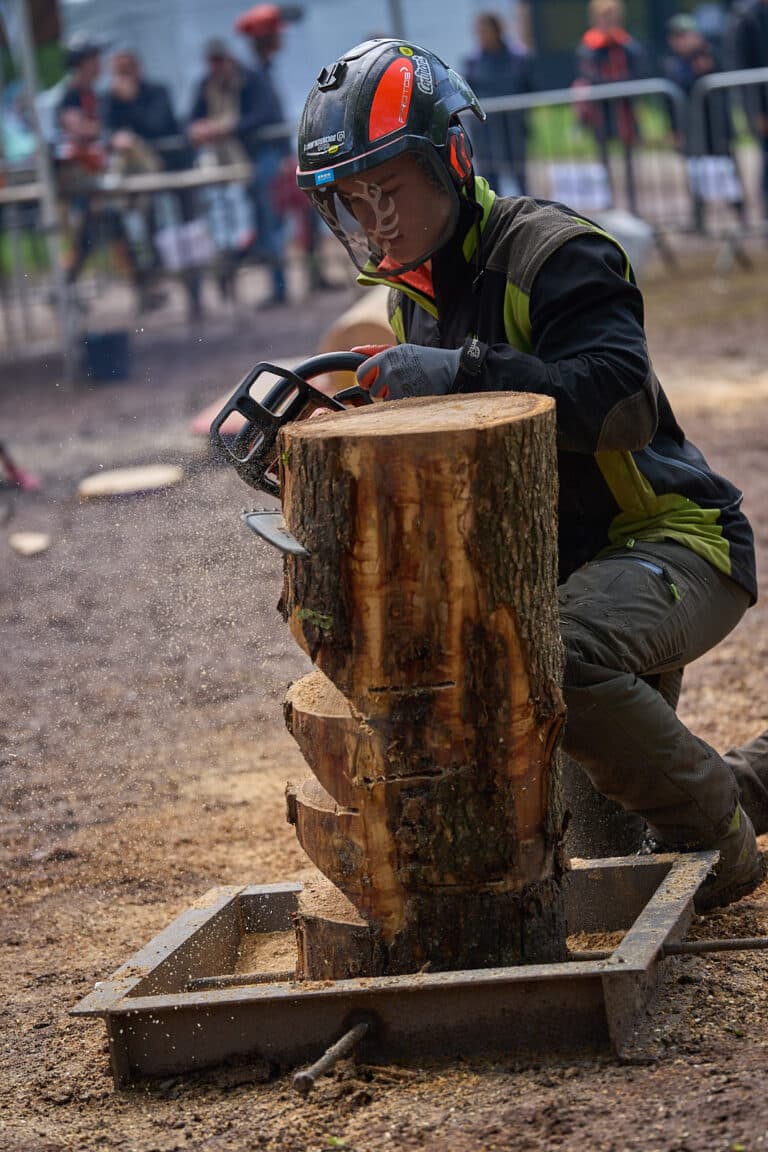 Rendez-vous Forêt Bois 2023