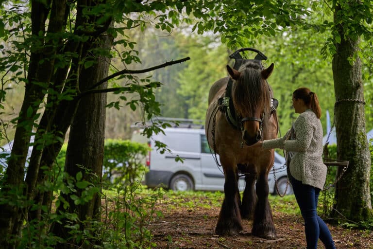 Rendez-vous Forêt Bois 2023