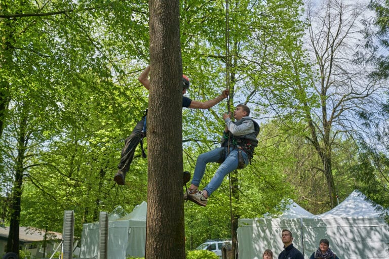 Rendez-vous Forêt Bois 2023