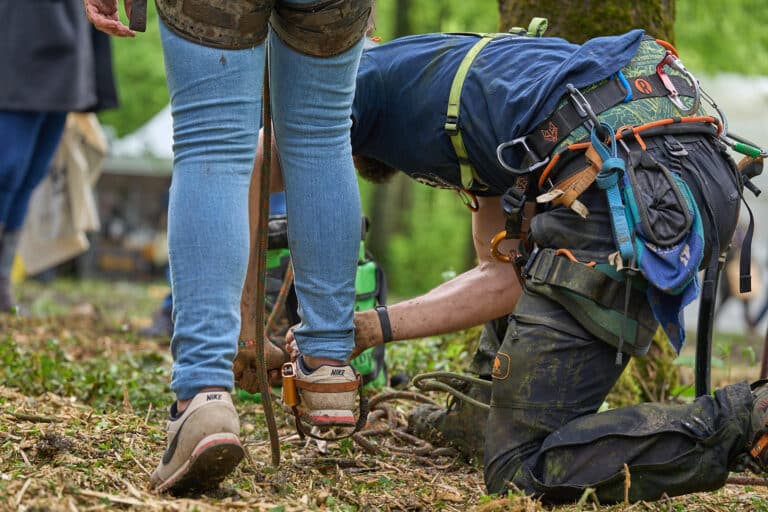 Rendez-vous Forêt Bois 2023