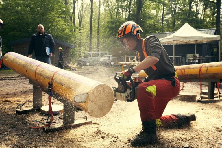 Rendez-vous Forêt Bois 2023