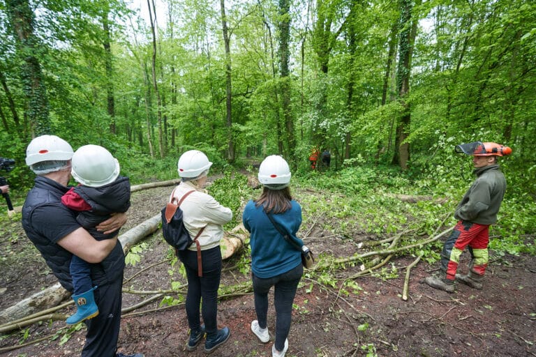 Rendez-vous Forêt Bois 2023