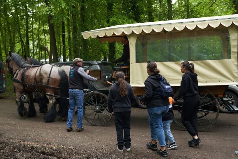 Rendez-vous Forêt Bois 2023