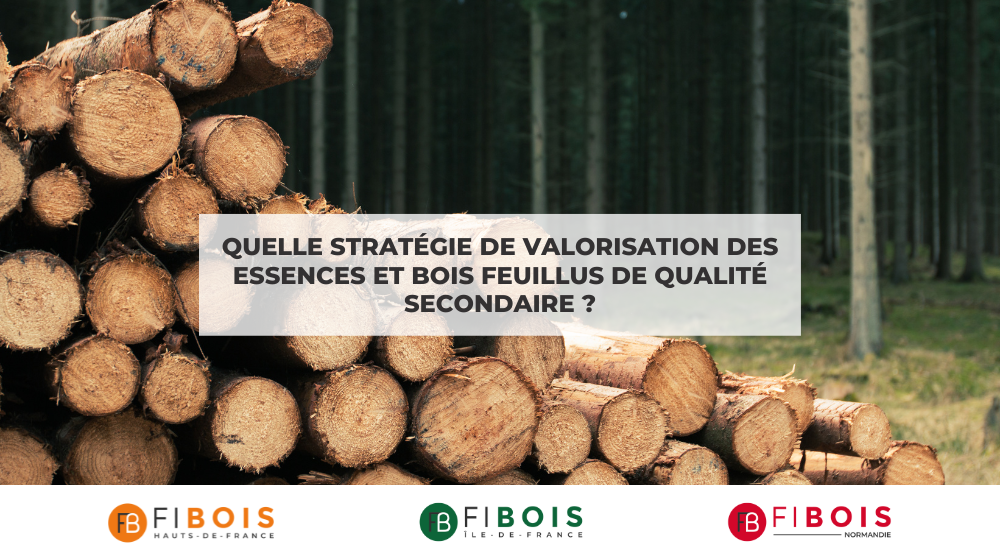 Quelle stratégie de valorisation des essences et bois feuillus de qualité secondaire ?