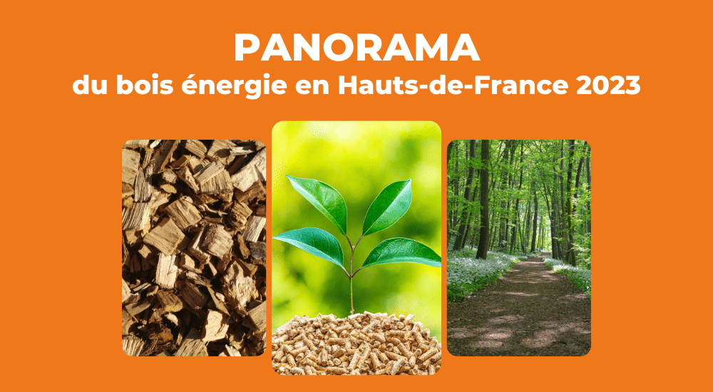Nouvelle édition du Panorama Bois Energie en Hauts-de-France 2023