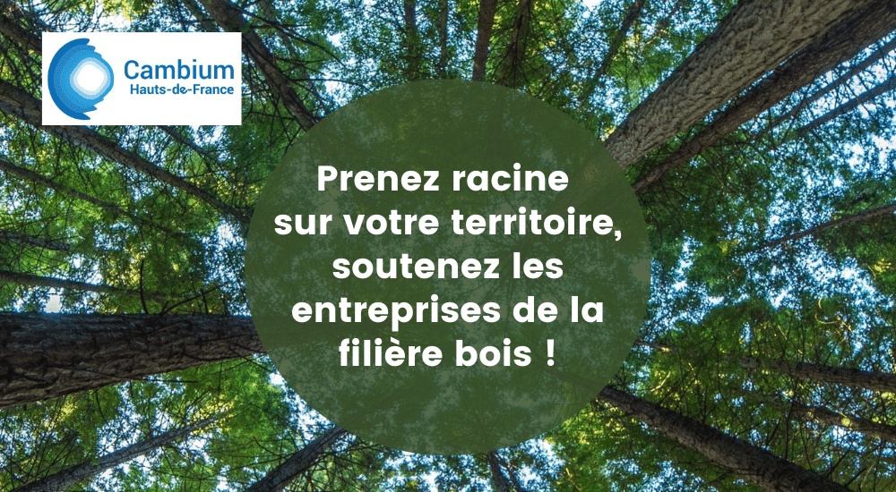 Entreprises - Transition écologique des forêts et filières bois