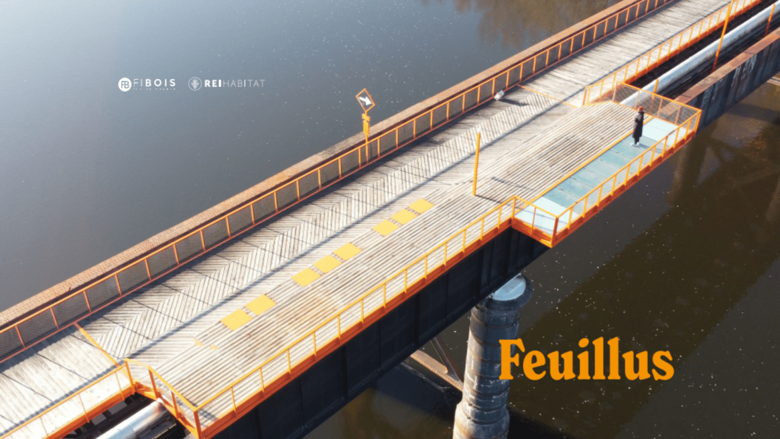 Book feuillus