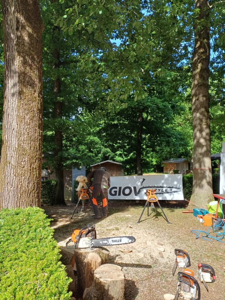 Rendez-Vous Forêt-Bois 2025