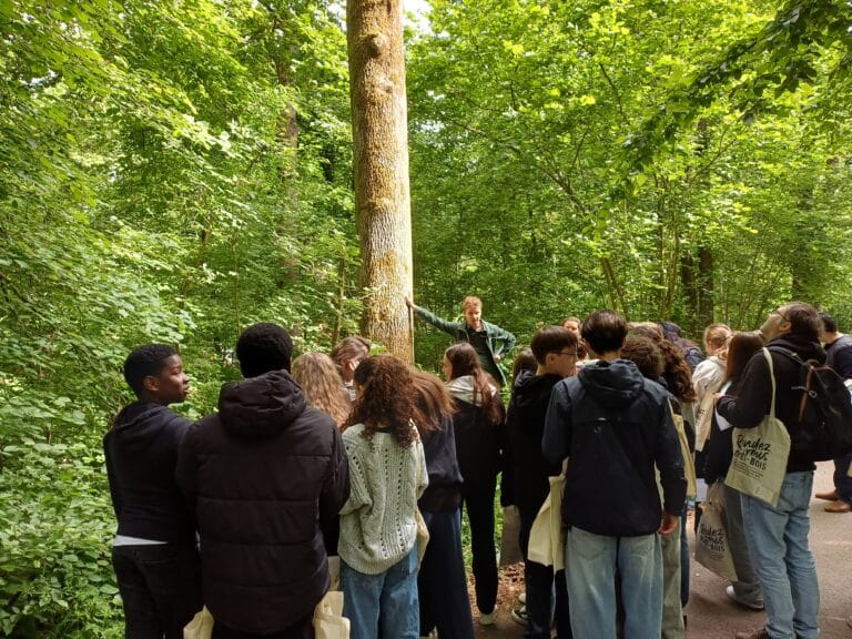 Rendez-Vous Forêt-Bois 2025