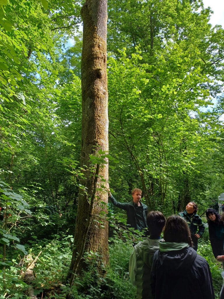 Rendez-Vous Forêt-Bois 2025