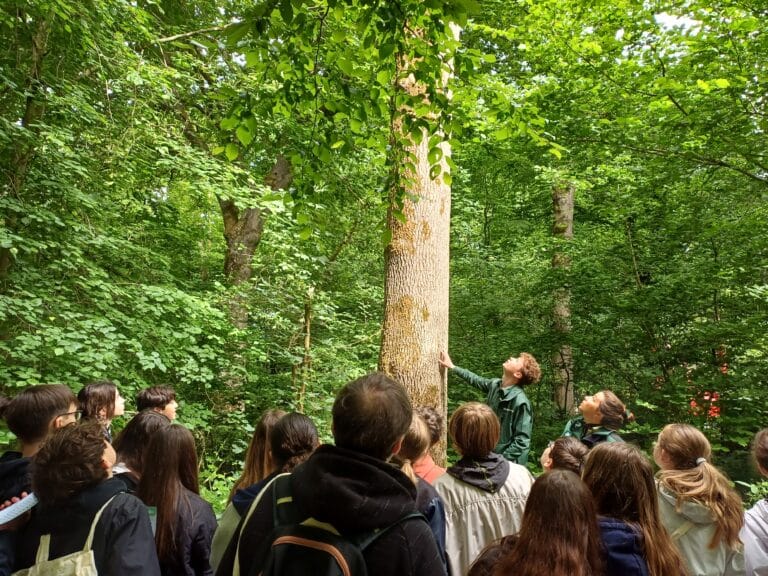 Rendez-Vous Forêt-Bois 2025
