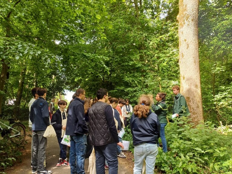 Rendez-Vous Forêt-Bois 2025