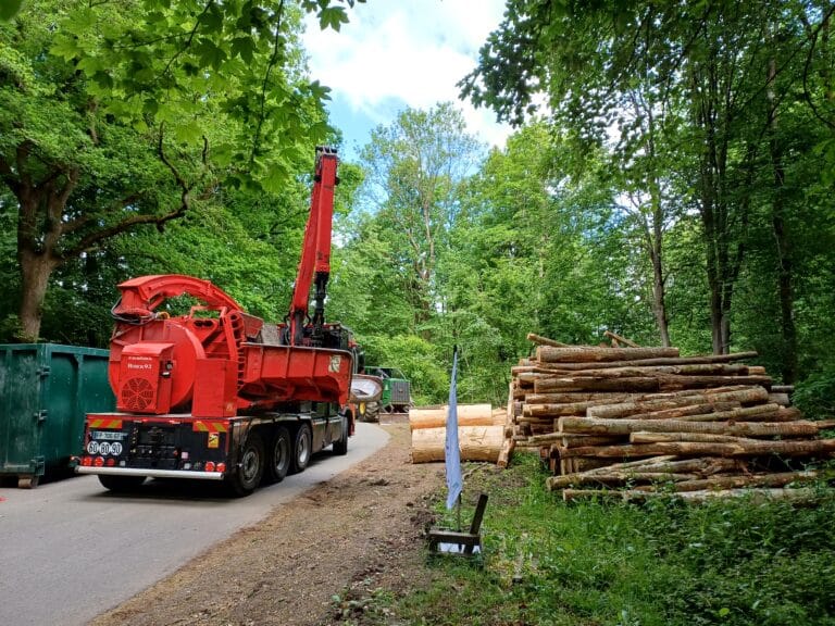 Rendez-Vous Forêt-Bois 2025