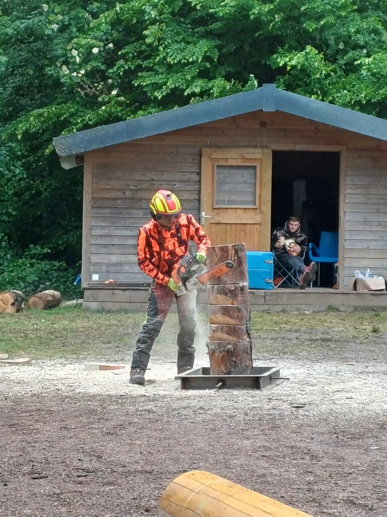 Rendez-Vous Forêt-Bois 2025