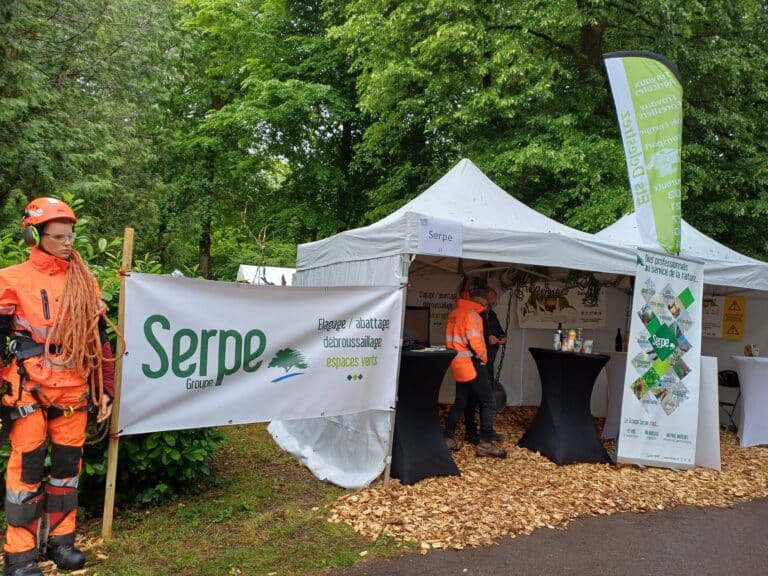Rendez-Vous Forêt-Bois 2025