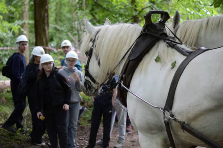 Rendez-Vous Forêt-Bois 2025