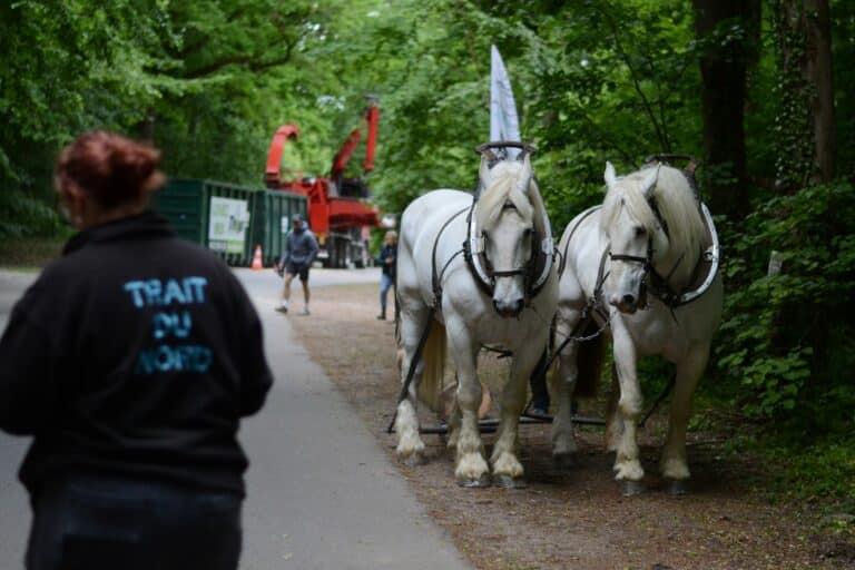 Rendez-Vous Forêt-Bois 2025