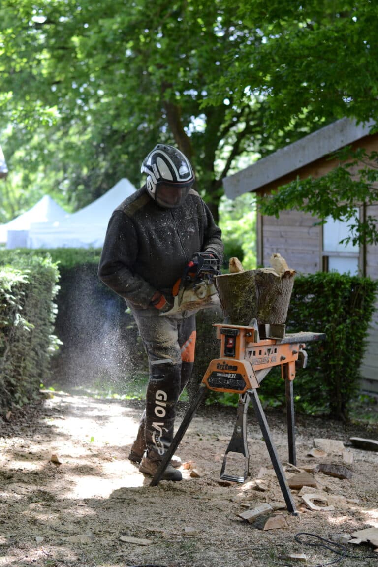 Rendez-Vous Forêt-Bois 2025