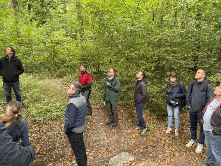 Visite « À la rencontre de la filière forêt bois » le 25 septembre 2025