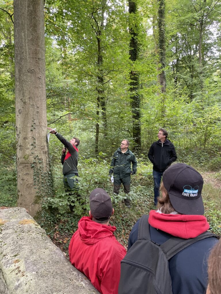 Visite « À la rencontre de la filière forêt bois » le 25 septembre 2025