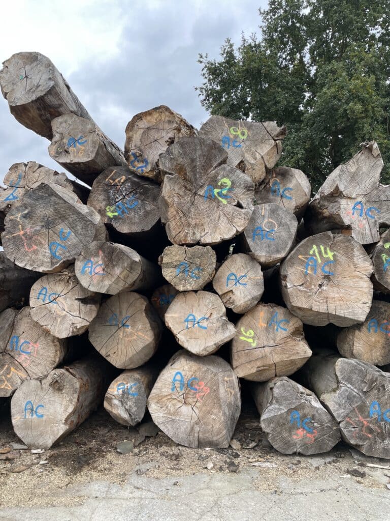 Visite « À la rencontre de la filière forêt bois » le 25 septembre 2025