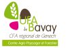 UFA Bavay-centre foret